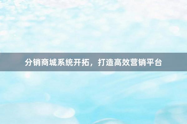 分销商城系统开拓，打造高效营销平台