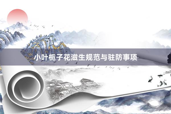 小叶栀子花滋生规范与驻防事项