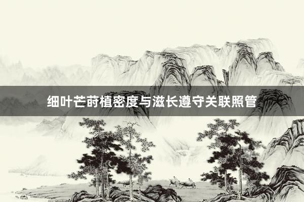 细叶芒莳植密度与滋长遵守关联照管